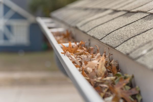 Leaf Barrier Installation in Advance